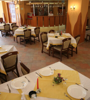 restaurant-hotel-iasi-amadeo (1)
